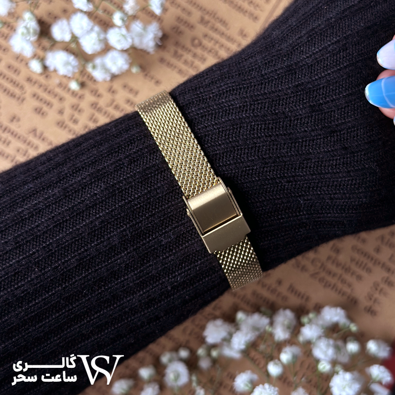 ساعت مچی زنانه ferrucci مدل FC03222-04 ساعت مچی زنانه ferrucci مدل FC03222-04